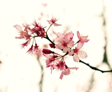 hidden spring.. just a hint of.