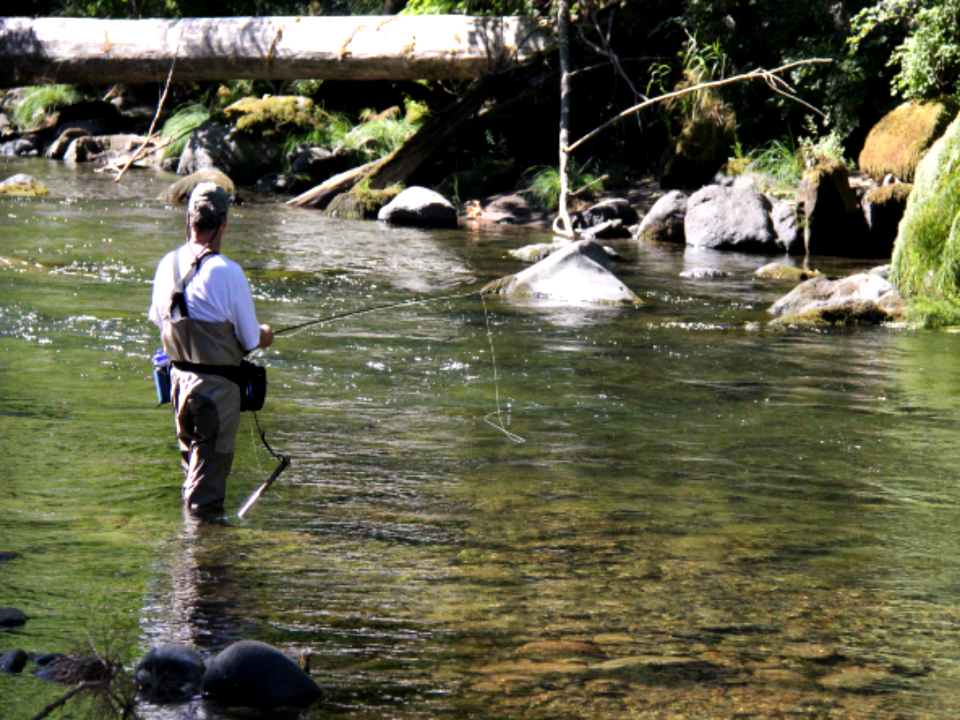 Man Flyfishing, Mt Hood National Forest