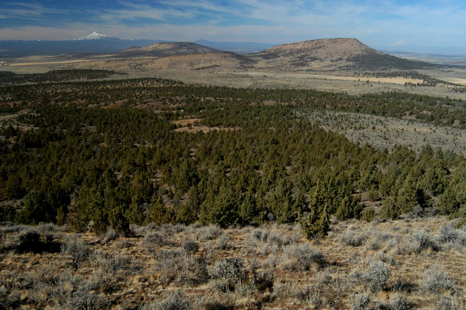 View of Mt Jefferson, Black Butte and Mt Hood-Ochoco