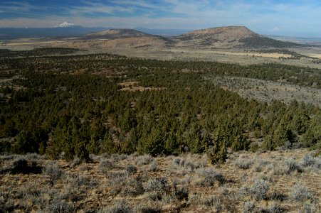 View of Mt Jefferson, Black Butte and Mt Hood-Ochoco photo