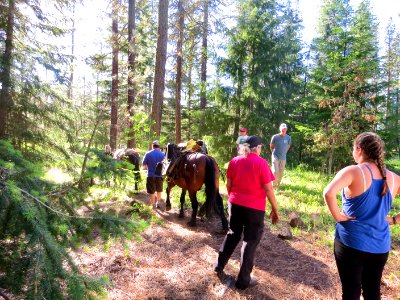 Wilderness Stewardship Skills Training at Mt Adams Ranger District-108 photo