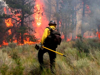 Gila Hotshot Surveying Burnout at Toolbox Fire-Fremont Winema