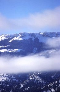 Winter Scene-Fremont Winema