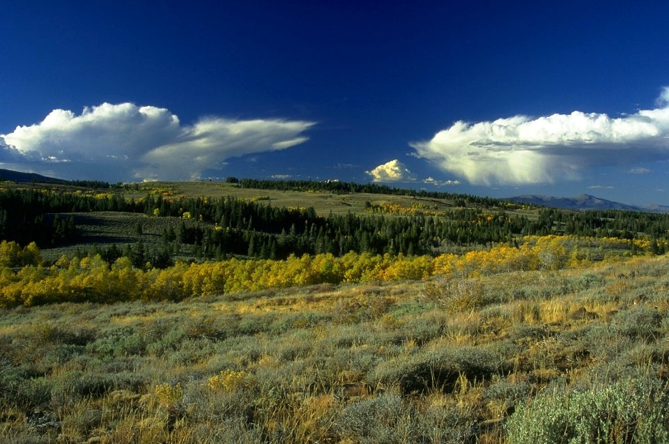 Fall Color on the Fremont Winema