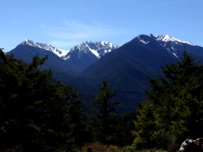 Looking up the Copper Creek drainage and Looking up the Copper Creek drainage and Pacific Northwest Trail near Buckhorn Lake, Olympic National Forest photo