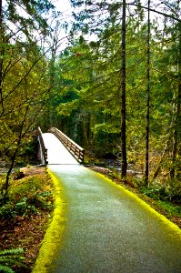 Wildwood Recreation Site Bridge 1-Mt Hood