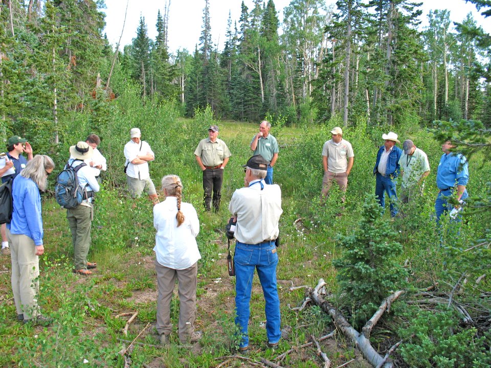 Utah Forest Restoration Working Group, Dixie National Forest