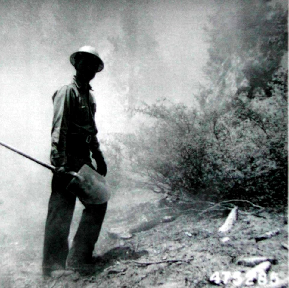 475285 Fire Line, El Dorado NF, CA 1953