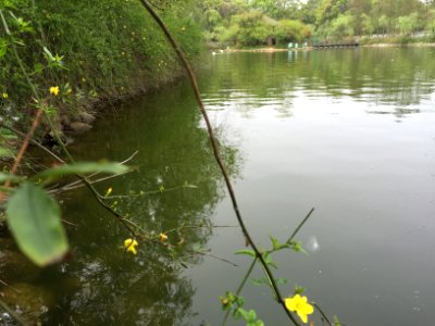 鄱陽湖濕地公園～江西省China