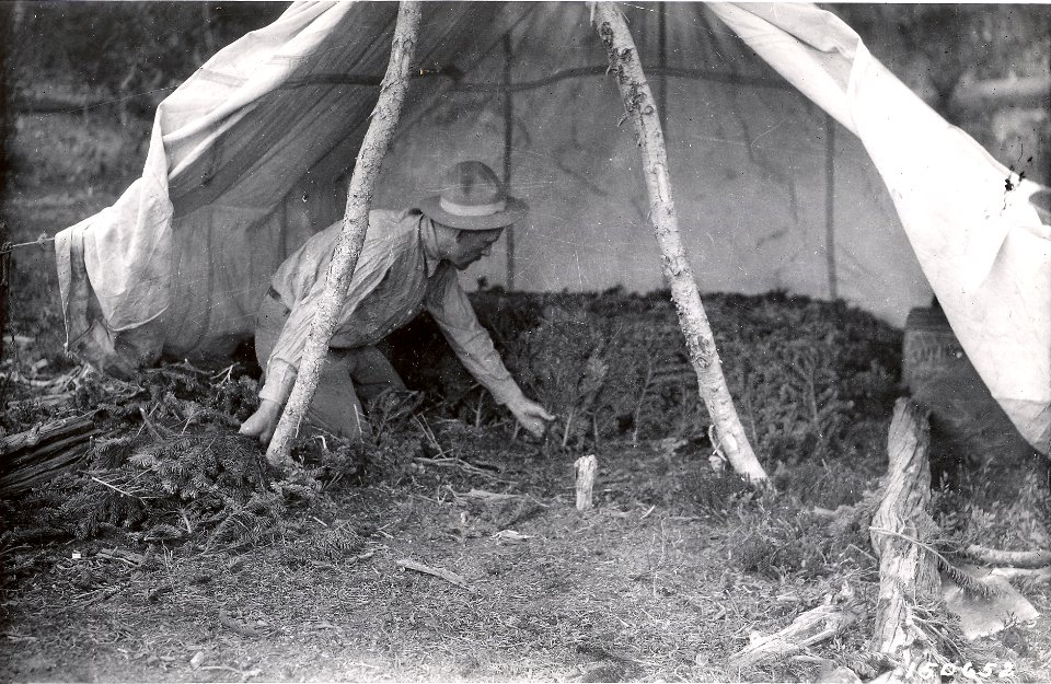 16100-14 Forester at work making feather bed in tent camp at Irish Lake August 1920