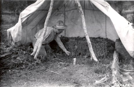 16100-14 Forester at work making feather bed in tent camp at Irish Lake August 1920