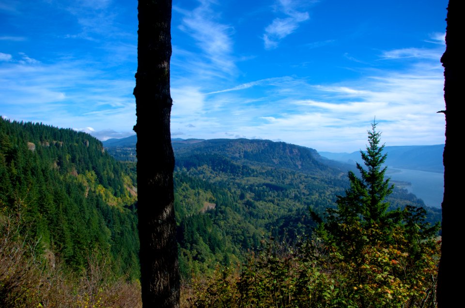 View from Nancy Russell Overlook-Columbia River Gorge photo