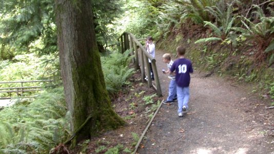 Children Hiking on Trail