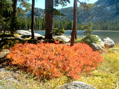 Fall Color at Wallowa Lake, Wallowa Whitman National Forest photo