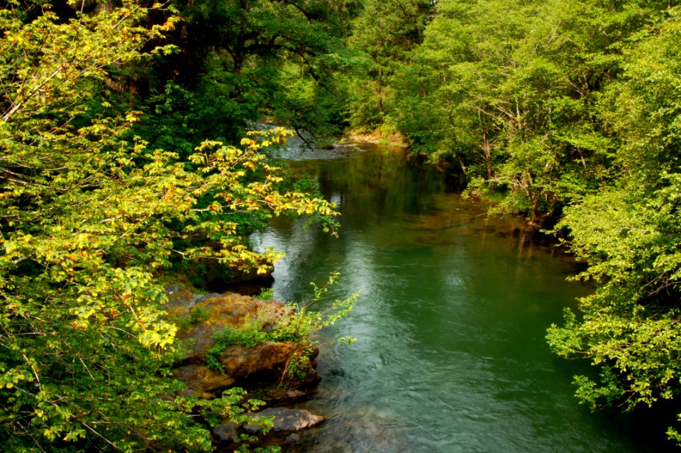 Jackson Creek Grotto-Umpqua