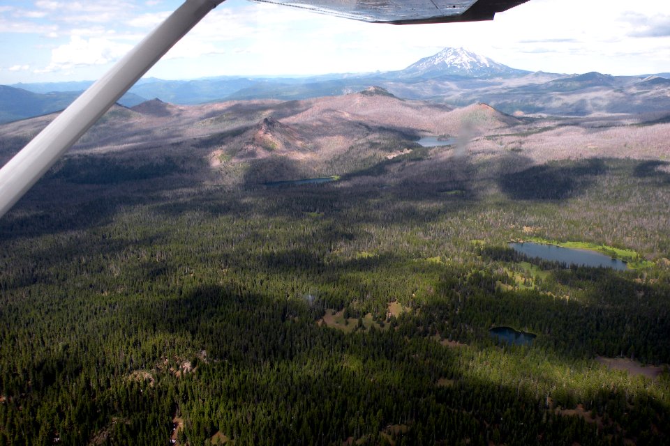 Lightning Fires, Middle Fork Ranger District-103, Willamette National Forest