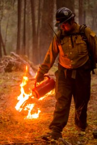 Firefighter with drip torch, Umpqua National Forest Fires, 2017