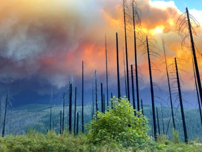 Riverside Fire from La Dee Flats on the Mt. Hood National Forest. September 9, 2020, Mt. Hood National Forest