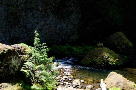 Tanner Creek by Wahclella Falls-Columbia River Gorge photo
