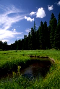 John Day River, Malheur National Forest