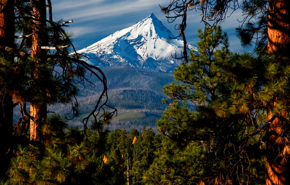 Mt Jefferson in Snow-Deschutes