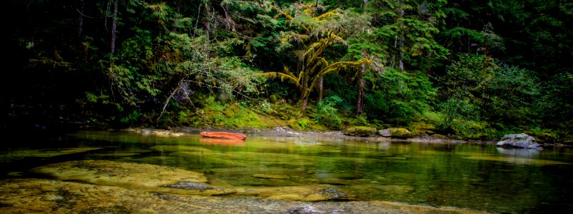 Panoramic of Stream at Three Pools, Willamette National Forest