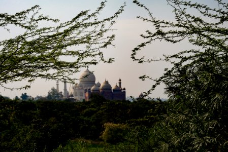 Distant View of Taj Mahal Surounded by Nature photo