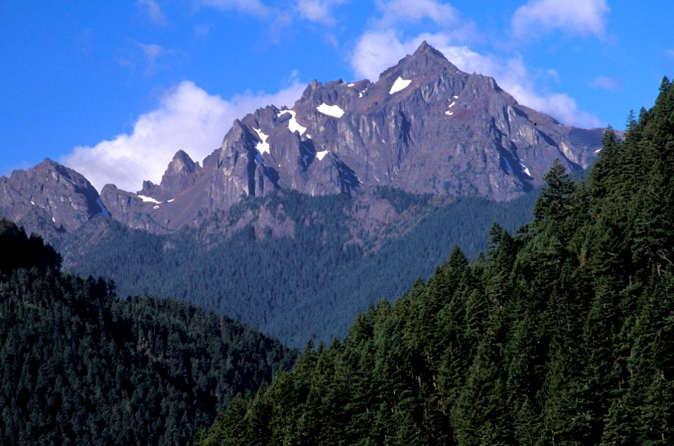 View of Mt Washington, Olympic National Forest