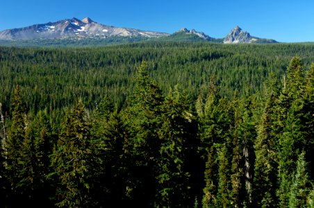 Diamond Peak, Willamette National Forest photo