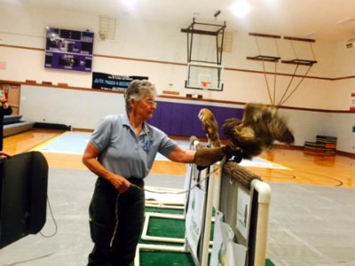 Animal Handler showing Owl's Wing Span-Unknown