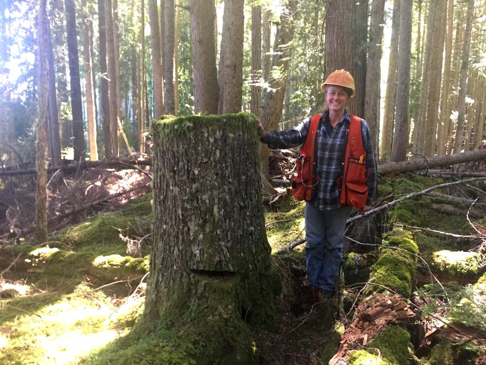 20180612 FS Olympic Silviculturist KHShirley Lorentz, surveying a proposed thinning.