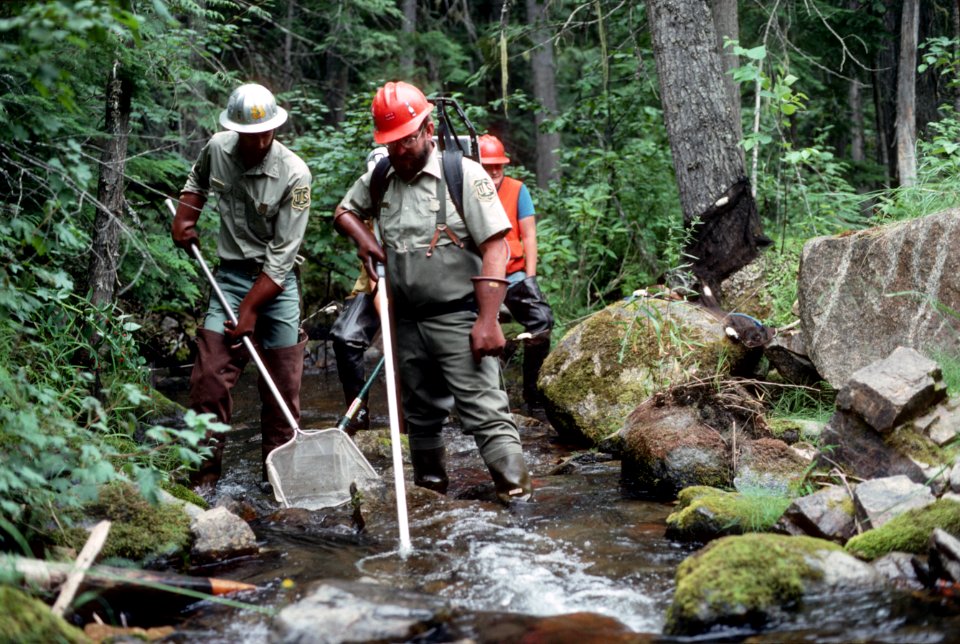 Colville National Forest, fisheries.jpg