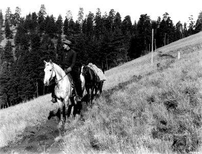 77974 Ranger & Horses, Davis Cr Canyon, Wallowa NF, OR 1908 photo