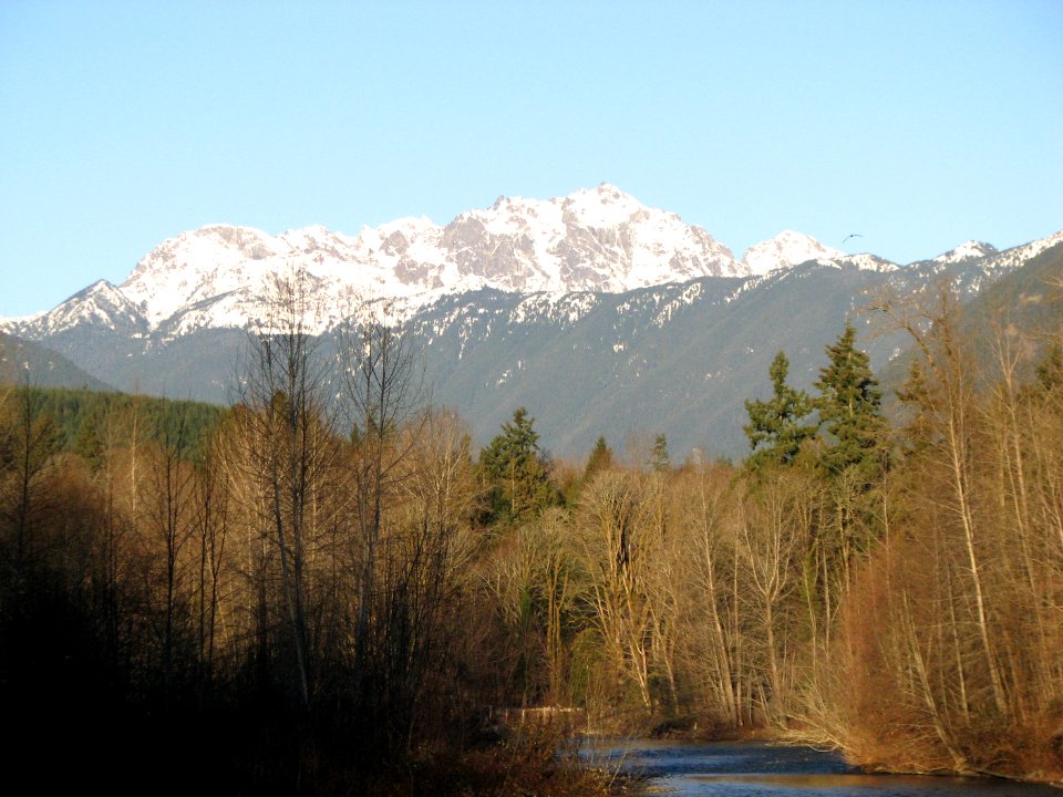 View of Mt Constance, Jan 2017, Olympic National Forest