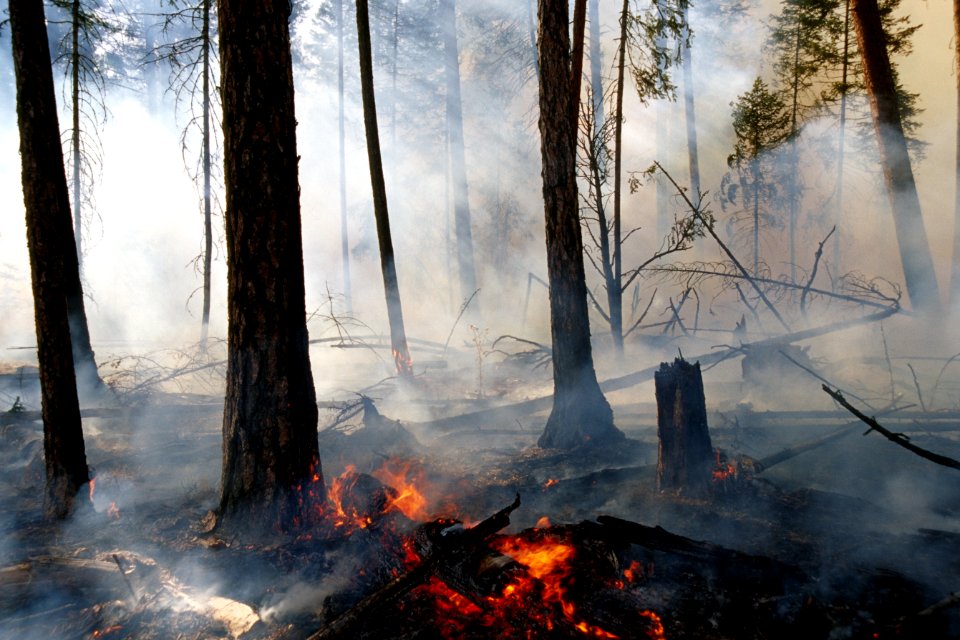 483 Prescribed fire burn, Colville National Forest