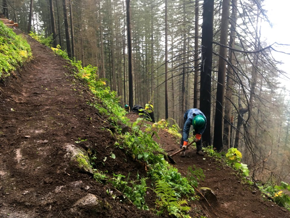 Devils Rest work party with Trailkeepers of Oregon November 2018, photo by Josh Durham.