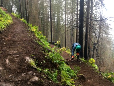 Devils Rest work party with Trailkeepers of Oregon November 2018, photo by Josh Durham.