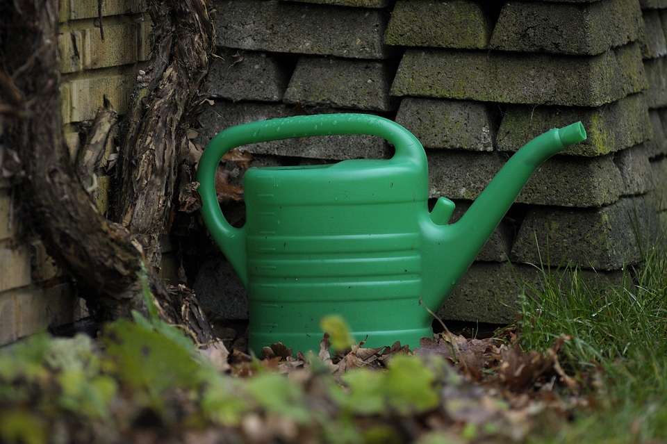 Watering can garden tool green jug