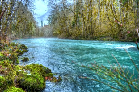 Dosewallips River, Olympic National Forest