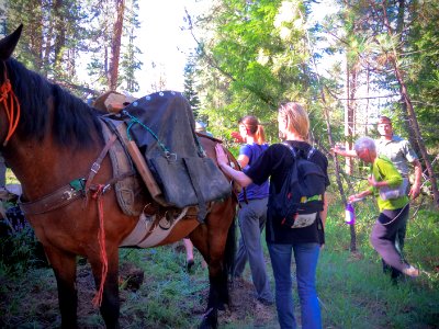 Wilderness Stewardship Skills Training at Mt Adams Ranger District-104 photo