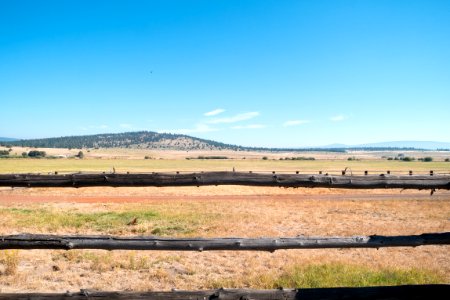 Fence and Farmland-Fremont Winema photo