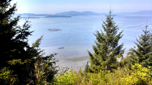 Pacific Northwest Trail looking out over Samish Bay oyster farms from Blanchard Hill