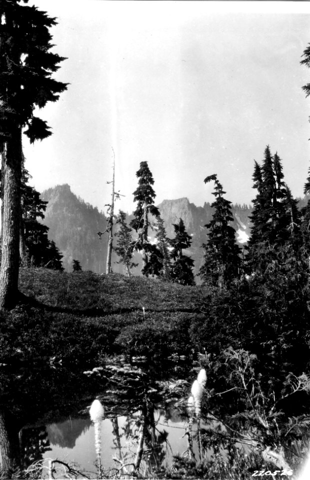 220526 McGravey Lake, Olympic NF, WA 1927