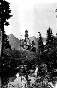 220526 McGravey Lake, Olympic NF, WA 1927 photo