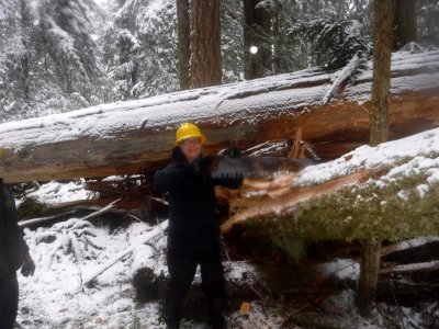 Grey Wolves Trail Crew clearing winter windfall with crosscut saws on Cat Creek Loop in February 2017 on Olympic National Forest