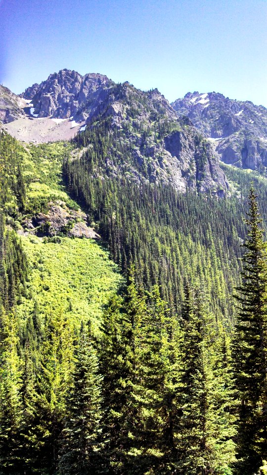 Iron Mountain and Buckhorn Mountain, Olympic National Forest