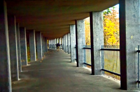 Accessible path at Mosier Twin Tunnels Trail 8-Columbia River Gorge