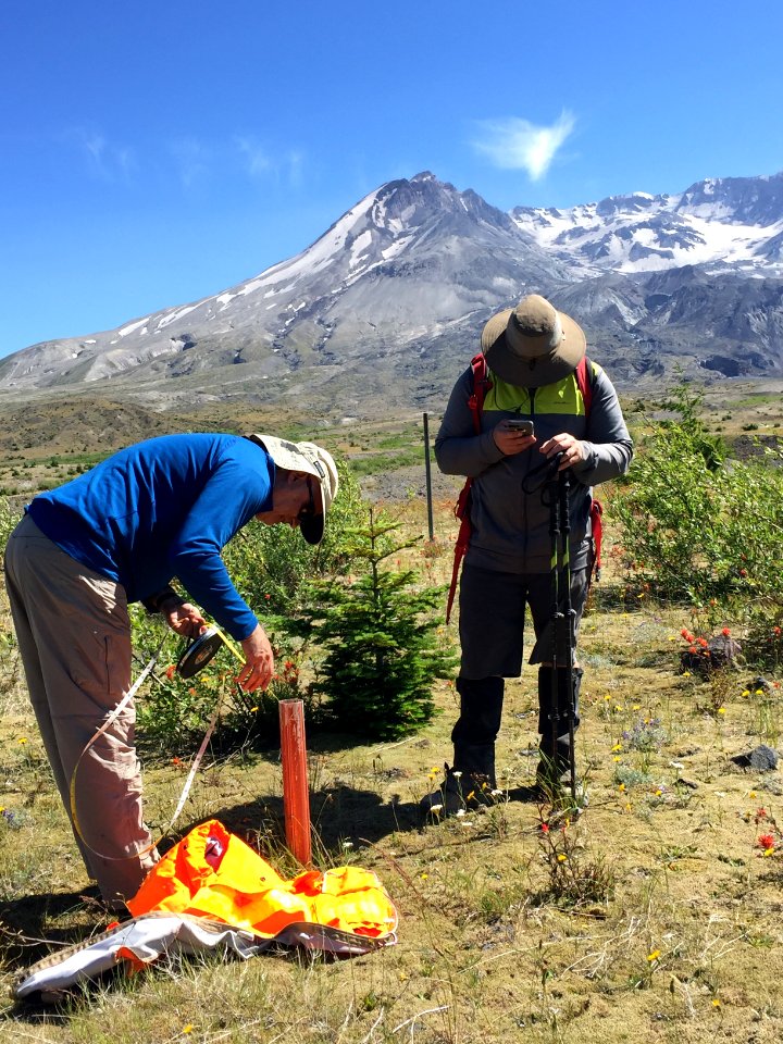 USFS Engineers Take Groundwater Readings 2017
