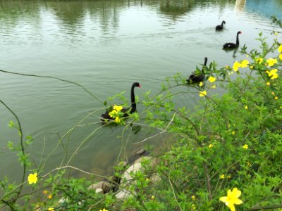 鄱陽湖濕地公園～江西省China