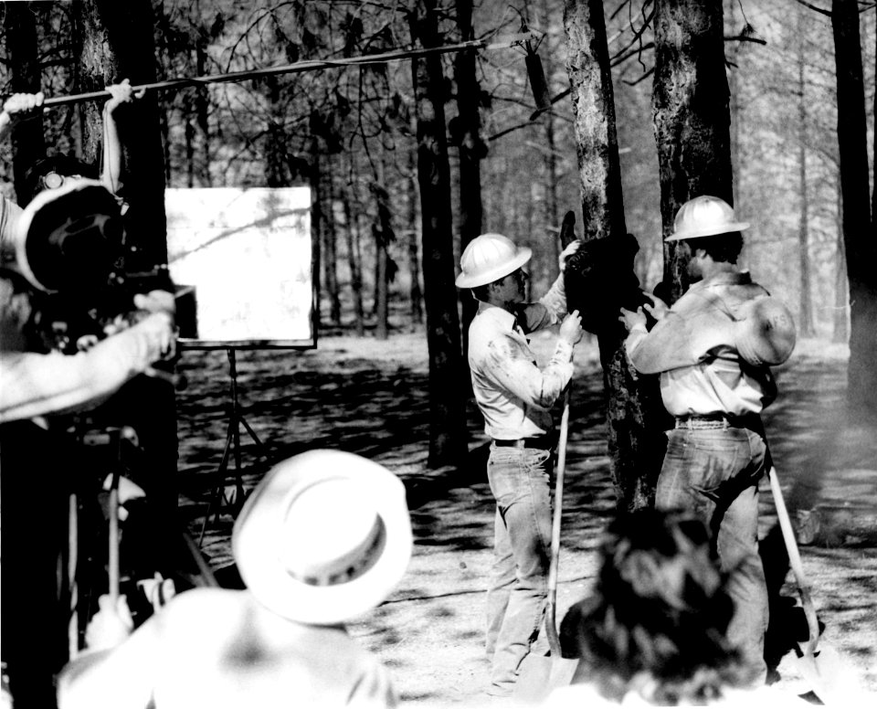 Reenacting Finding Smokey , 1950